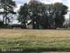 E Laurel Avenue photo
